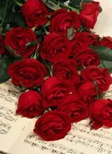 TestPic